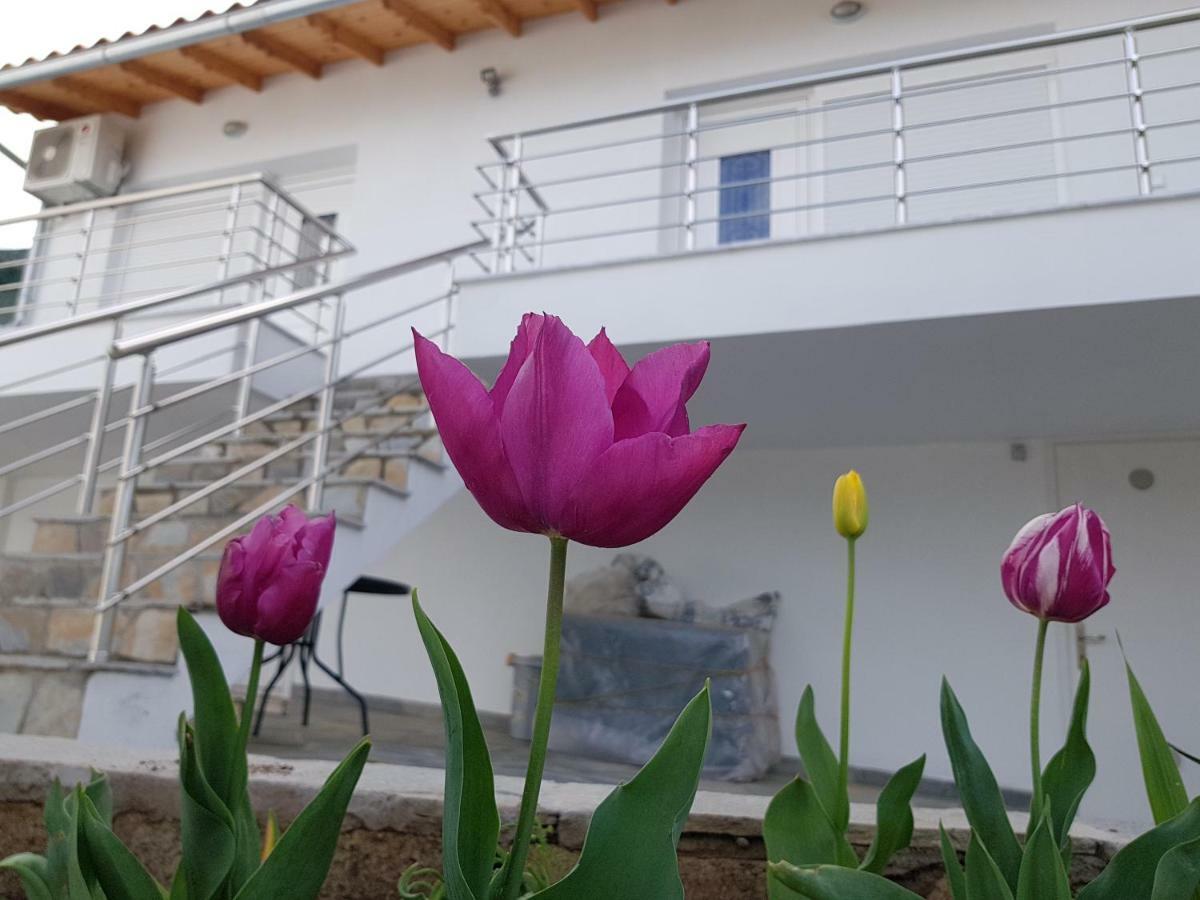 Doukas Apartments & Studios Skala Marion Exterior photo
